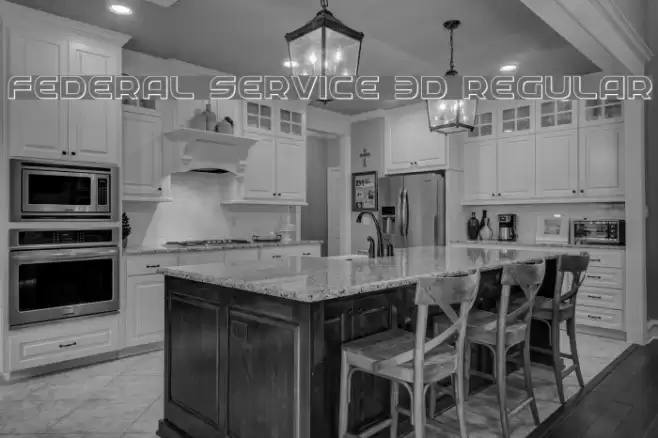 Federal Service 3D Regular Font examples