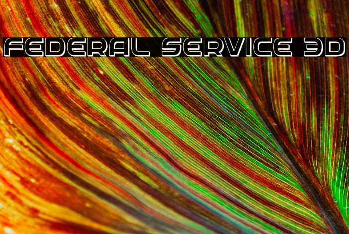 Federal Service 3D Example 1