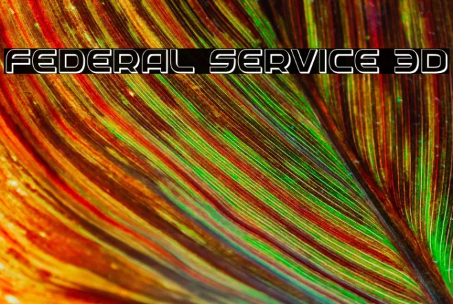 Federal Service 3D Example 1
