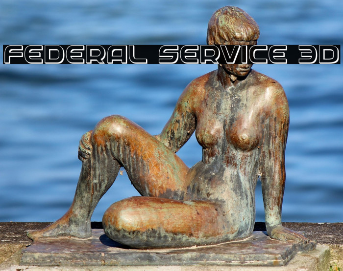 Federal Service 3D Example 2