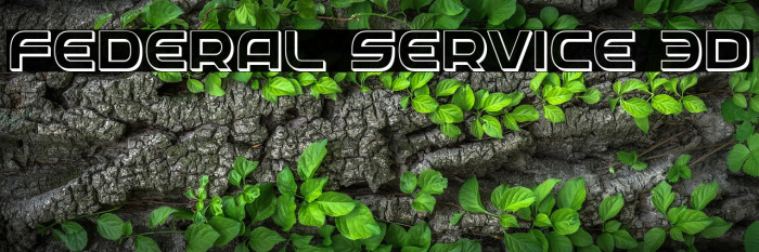 Federal Service 3D Example 3