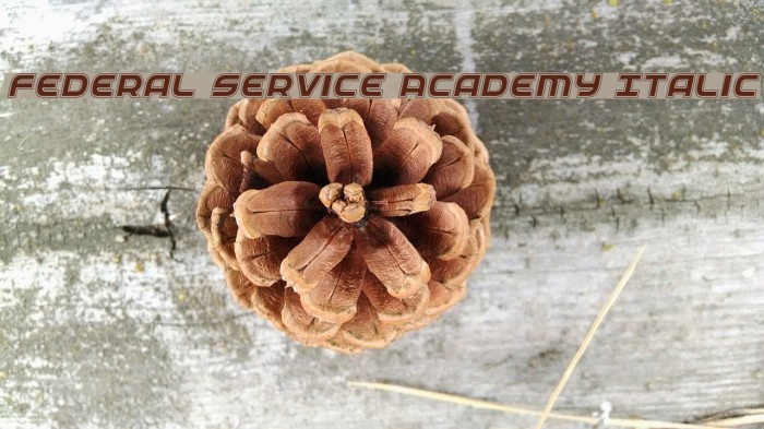 Federal Service Academy Italic Fuentes examples