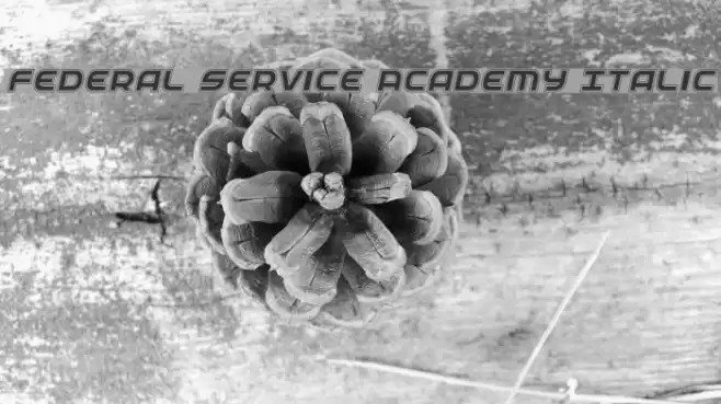 Federal Service Academy Italic Fuentes examples