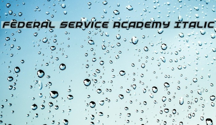 Federal Service Academy Italic Fuentes examples