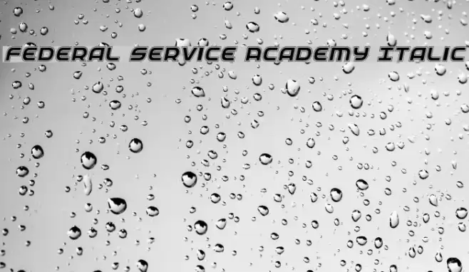 Federal Service Academy Italic Fuentes examples