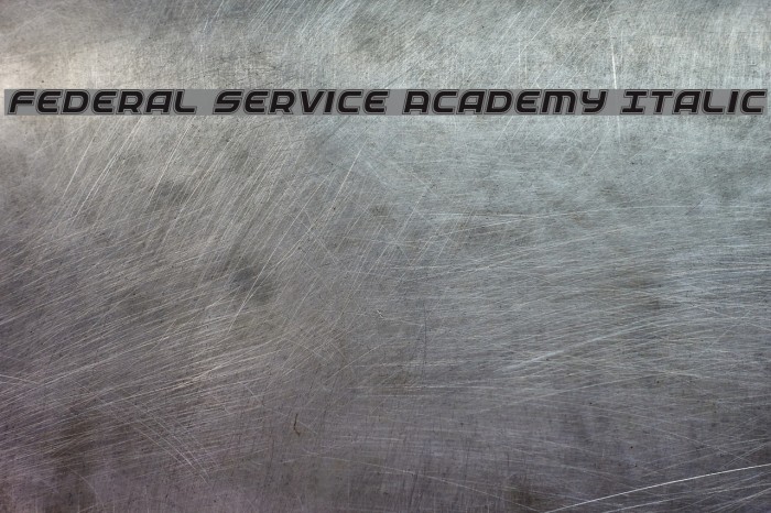 Federal Service Academy Italic Fuentes examples