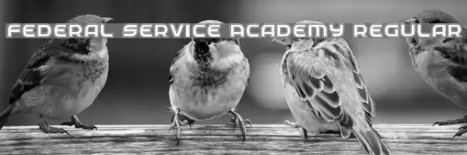 Federal Service Academy Regular フォント examples