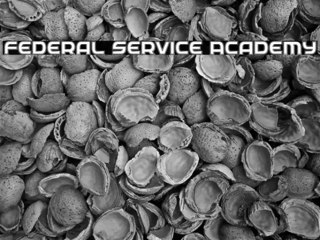Federal Service Academy Font examples