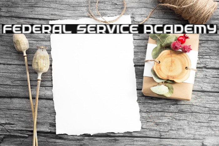 Federal Service Academy Example 2
