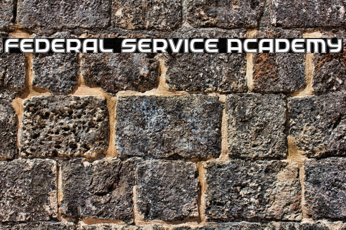 Federal Service Academy Example 3