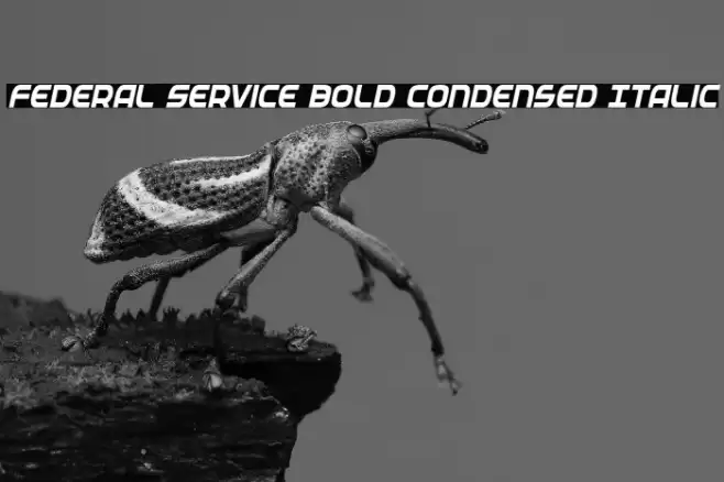 Federal Service Bold Condensed Italic Font examples