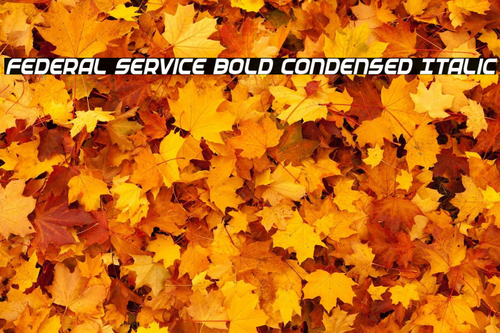 Federal Service Bold Condensed Italic Example 2