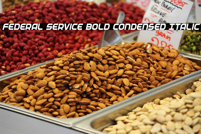 Federal Service Bold Condensed Italic Example 3