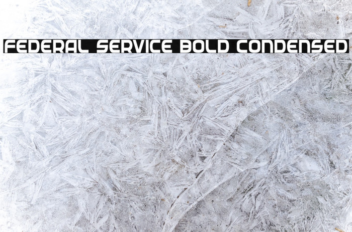 Federal Service Bold Condensed Font examples
