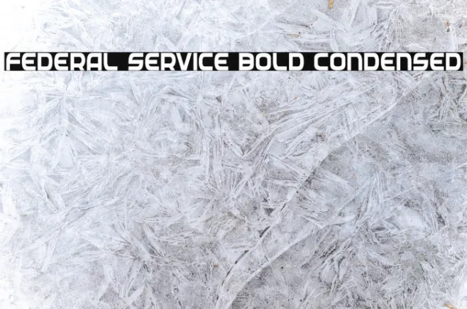 Federal Service Bold Condensed Example 1