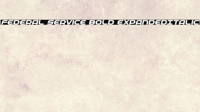 Federal Service Bold ExpandedItalic Example 1