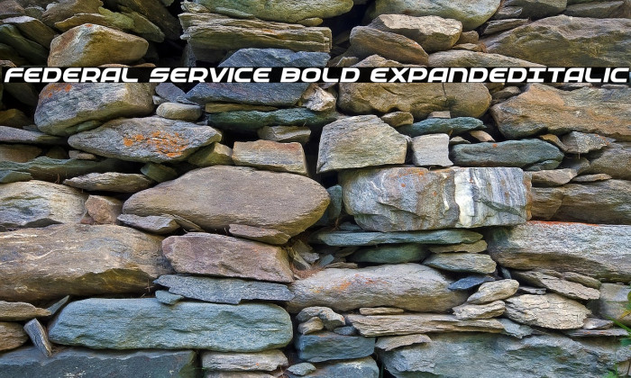 Federal Service Bold ExpandedItalic Example 2
