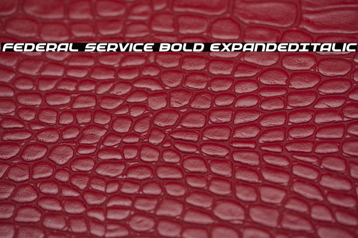 Federal Service Bold ExpandedItalic Example 3