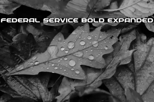 Federal Service Bold Expanded Font examples