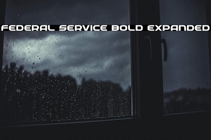 Federal Service Bold Expanded Example 2