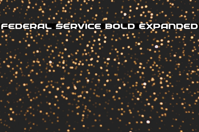 Federal Service Bold Expanded Example 3