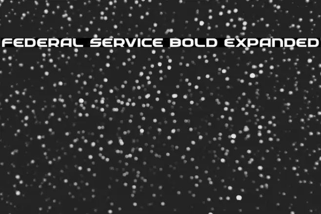 Federal Service Bold Expanded Font examples