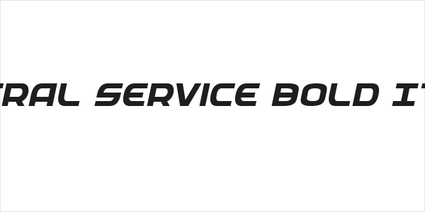 Federal Service Bold Italic Logo