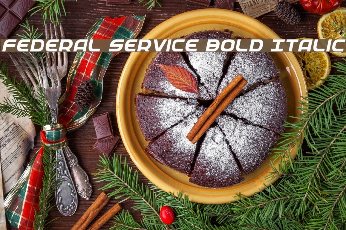 Federal Service Bold Italic Font examples