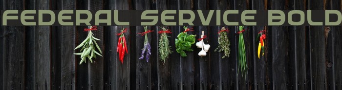Federal Service Bold Font examples