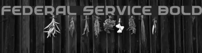 Federal Service Bold Font examples