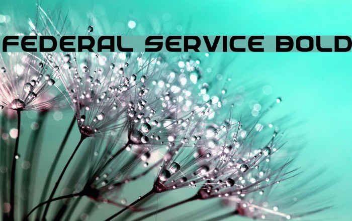 Federal Service Bold Font examples