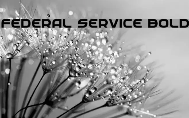 Federal Service Bold Font examples