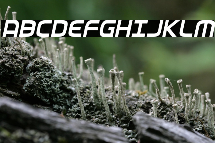 Federal Service Condensed Italic Example 2