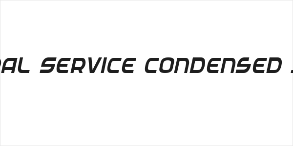 Federal Service Condensed Italic Logo