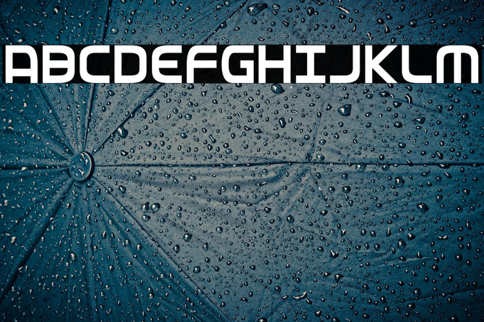 Federal Service Condensed Example 1