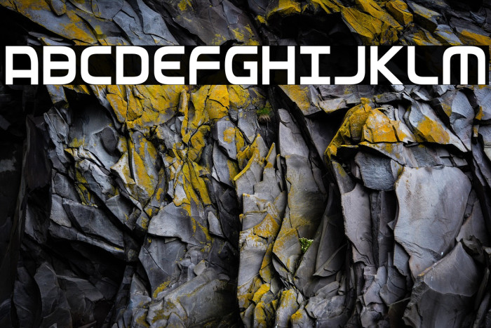 Federal Service Condensed Example 2