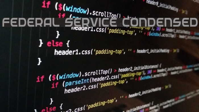 Federal Service Condensed Example 1