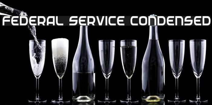 Federal Service Condensed Example 2