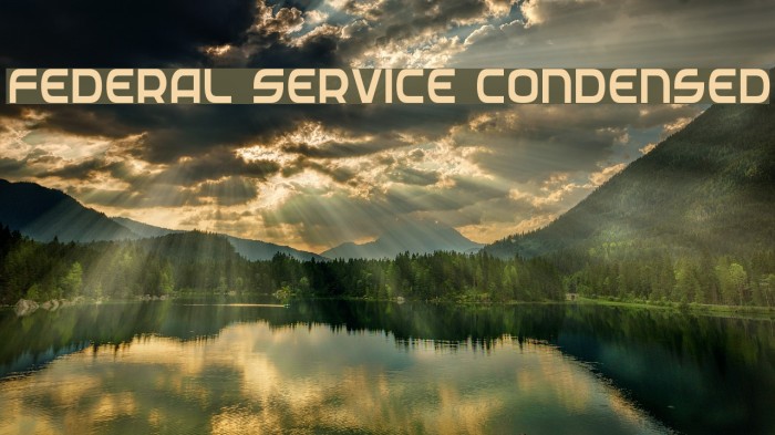 Federal Service Condensed Example 3