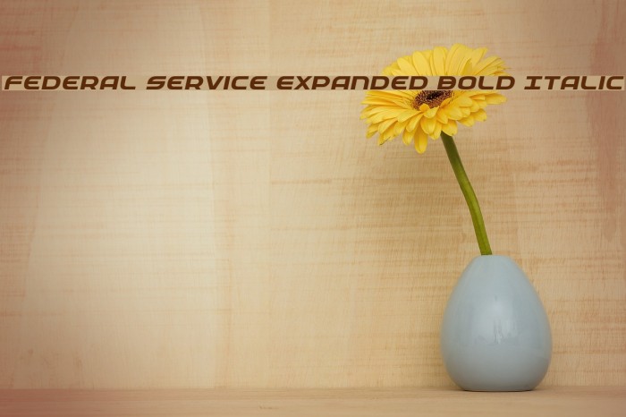 Federal Service Expanded Bold Italic Example 1