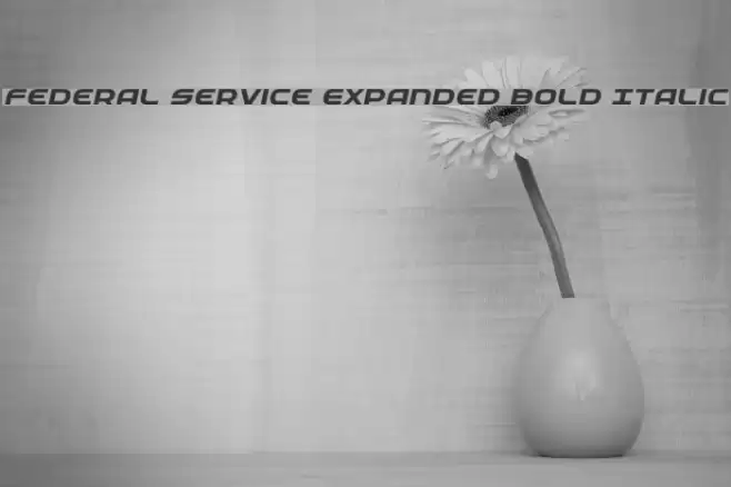 Federal Service Expanded Bold Italic Font examples