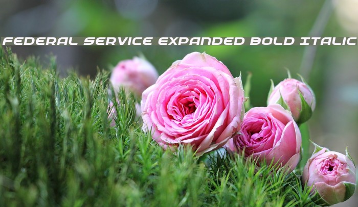 Federal Service Expanded Bold Italic Example 2