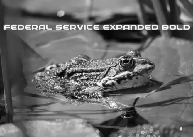 Federal Service Expanded Bold Font examples