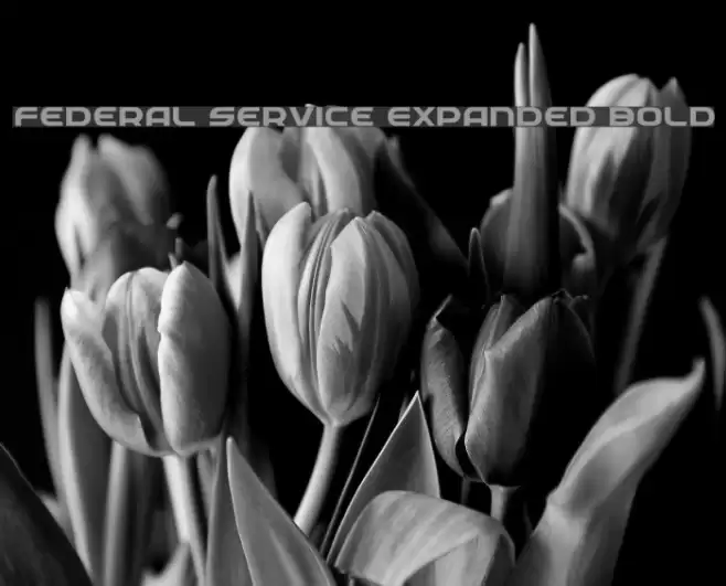 Federal Service Expanded Bold Font examples