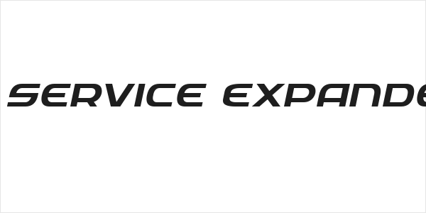 Federal Service Expanded Italic Logo