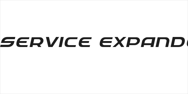 Federal Service Expanded Italic Logo