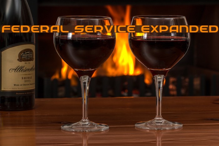 Federal Service Expanded Example 1