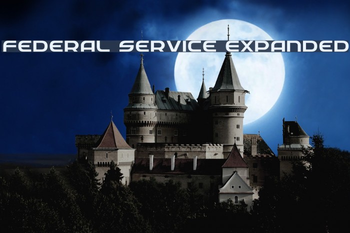 Federal Service Expanded Example 3