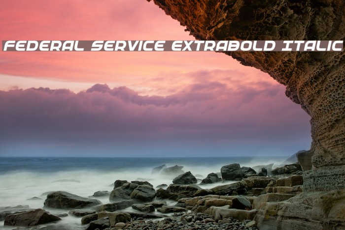 Federal Service ExtraBold Italic フォント examples