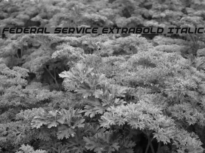 Federal Service ExtraBold Italic フォント examples